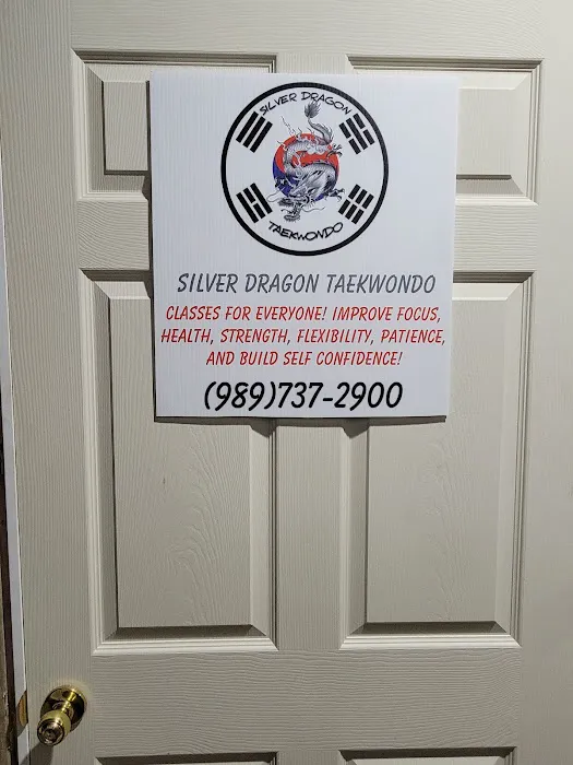 Silver Dragon Taekwondo Picture 3