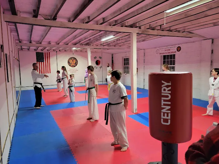 Silver Dragon Taekwondo Picture 1