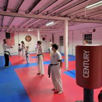 Silver Dragon Taekwondo ico