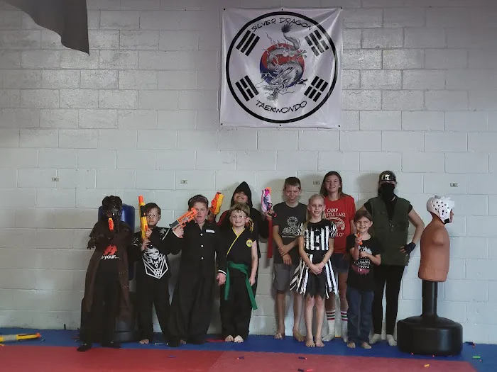 Silver Dragon Taekwondo Picture 7