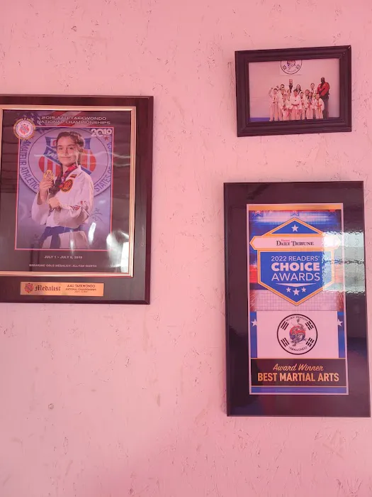 Silver Dragon Taekwondo Picture 6