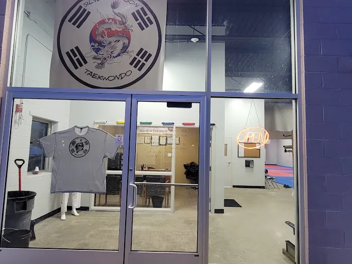 Silver Dragon Taekwondo Picture 10