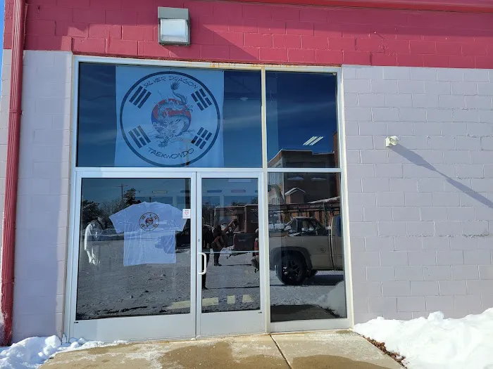 Silver Dragon Taekwondo Picture 9