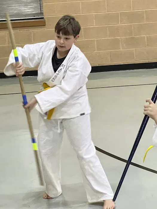 PKSA Karate Davison Picture 2