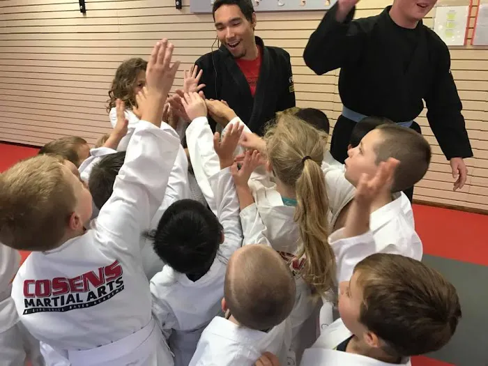 Cosens MMA LLC Picture 9