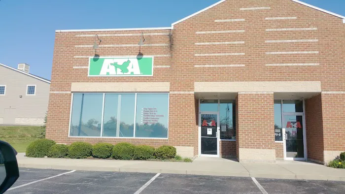 Elevate Martial Arts | Pickerington ATA Picture 4