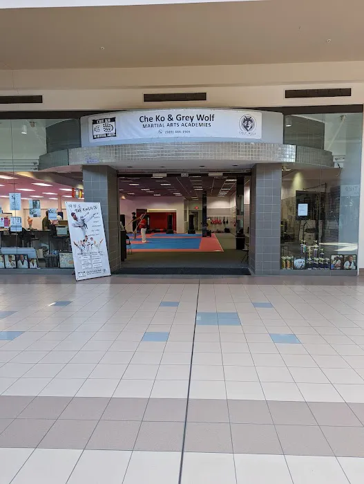 Che Ko & Grey Wolf Martial Arts Academies Picture 3