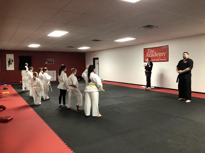 The Academy Martial Arts And Fitness Picture 3