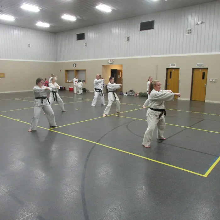 Warrior Tae Kwon Do Picture 2