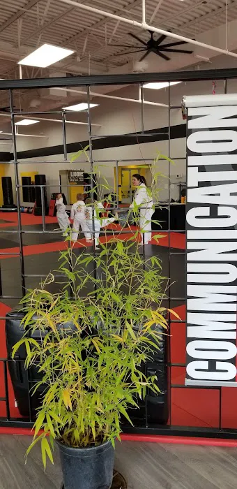 KarateBuilt Grand Rapids Picture 1