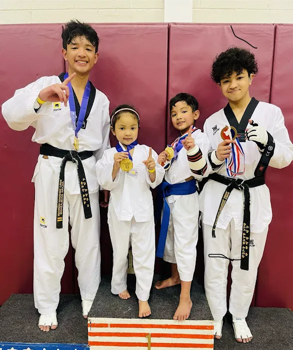 Black Belt Tae Kwon Do Of Grand Rapids Picture 2