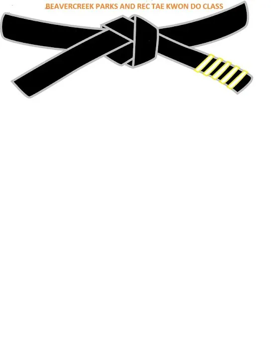 Black Belt Respect TKD Picture 1