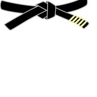 Black Belt Respect TKD ico