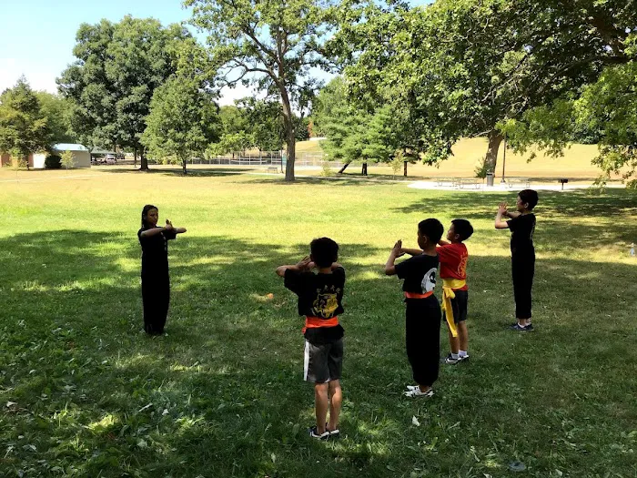 Golden Tiger Kung Fu Academy Picture 4