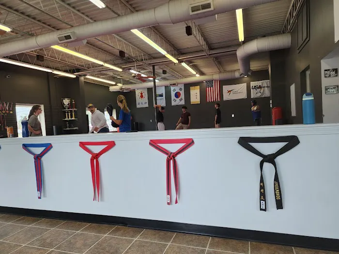 Lakeshore Taekwondo Academy - Hudsonville Picture 7