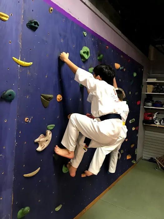 Asian Arts Center Taekwondo School Picture 5