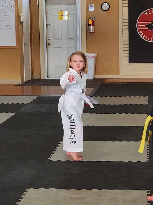 Valor Martial Arts Picture 4