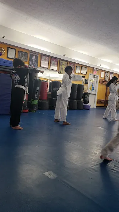 Meng's Martial Arts Picture 1