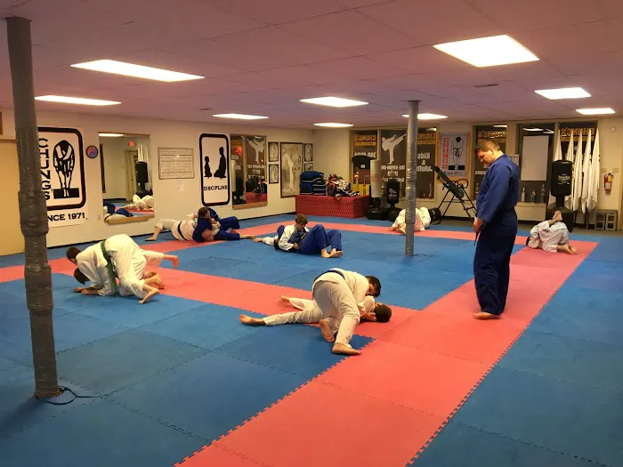 Chung's Academy of Martial Arts Picture 2