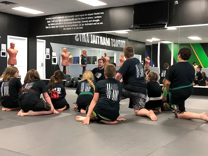 Impact Family Martial Arts - Newark Picture 5