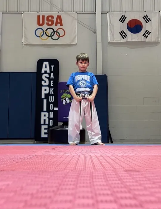 Aspire Taekwondo Picture 3