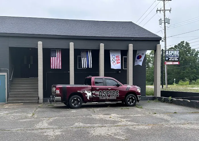 Aspire Taekwondo Picture 5