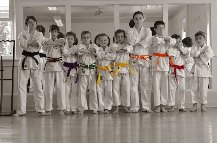 ProKarate Rockford Picture 1