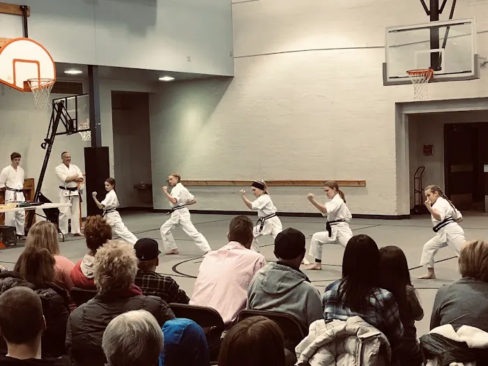 ProKarate Rockford Picture 2
