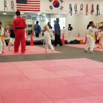 Championship Martial Arts - Holland