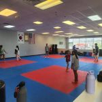 Lakeshore Taekwondo Academy