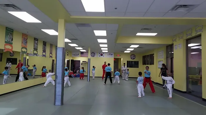 Han's White Tiger Taekwondo Picture 3