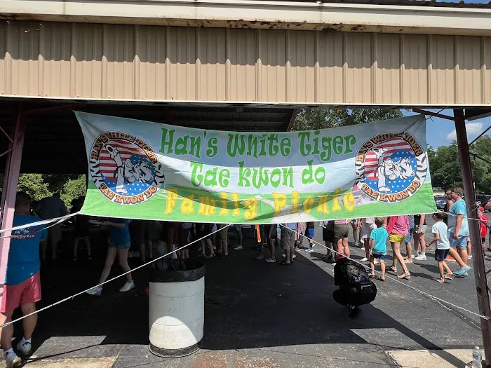 Han's White Tiger Taekwondo Picture 8