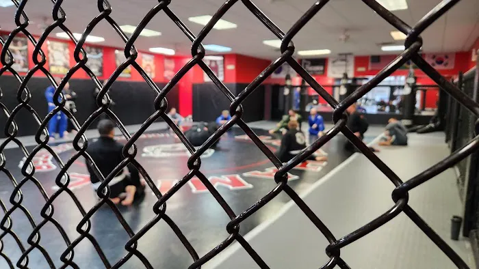 Park's TaeKwonDo, Jiu-jitsu, MMA, WRESTLING, BOXING, KICKBOXING & FITNESS Picture 1