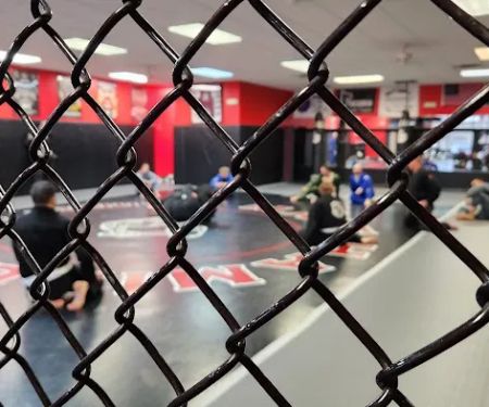 Park's TaeKwonDo, Jiu-jitsu, MMA, WRESTLING, BOXING, KICKBOXING & FITNESS