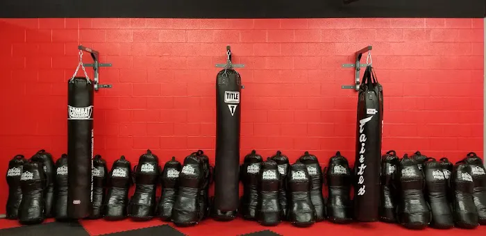 Park's TaeKwonDo, Jiu-jitsu, MMA, WRESTLING, BOXING, KICKBOXING & FITNESS Picture 10