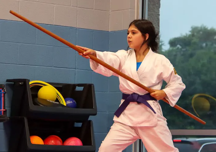 Muskegon Taekwondo Picture 5