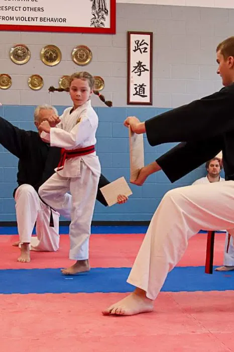 Muskegon Taekwondo Picture 4