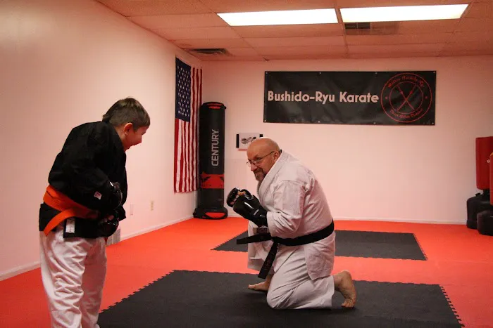 Milton Bushido-Ryu Karate Of Lowell Picture 9