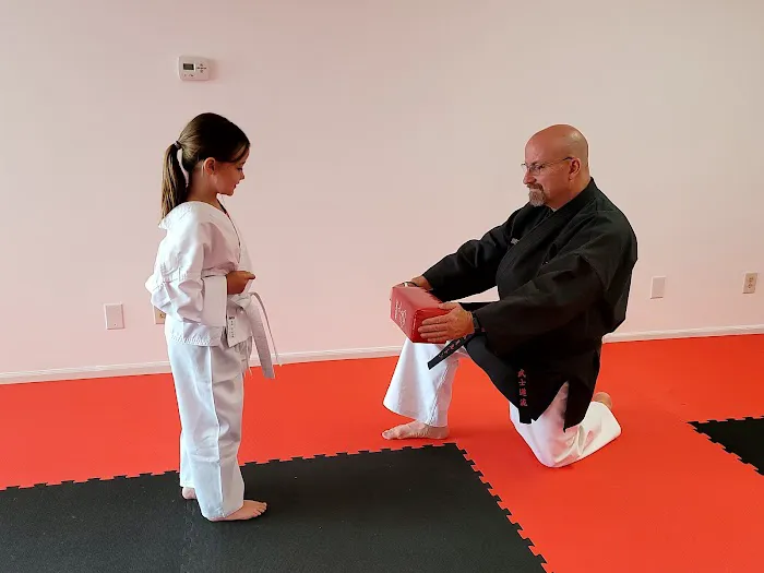 Milton Bushido-Ryu Karate Of Lowell Picture 8