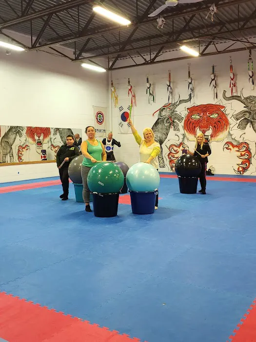 Hamilton Karate Picture 5