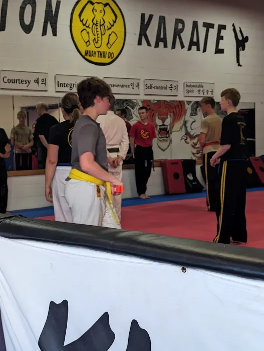 Hamilton Karate Picture 6