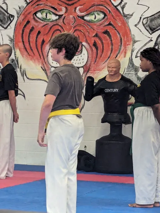 Hamilton Karate Picture 4