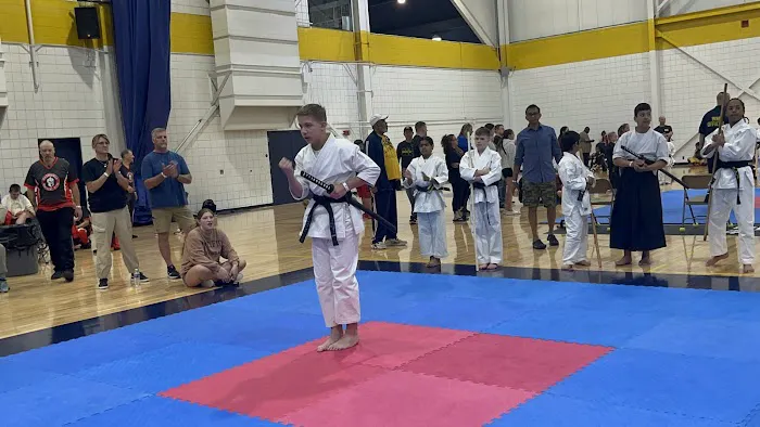 Fuzion Martial Arts Picture 8