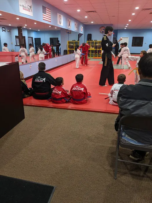 Han's White Tiger Taekwondo Picture 4