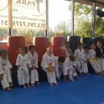 Park's TaeKwonDo, LLC