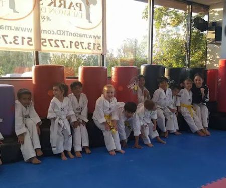 Park's TaeKwonDo, LLC