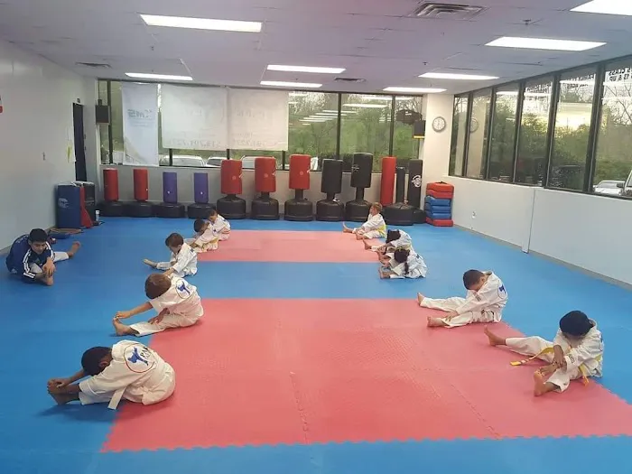 Park's TaeKwonDo, LLC Picture 2