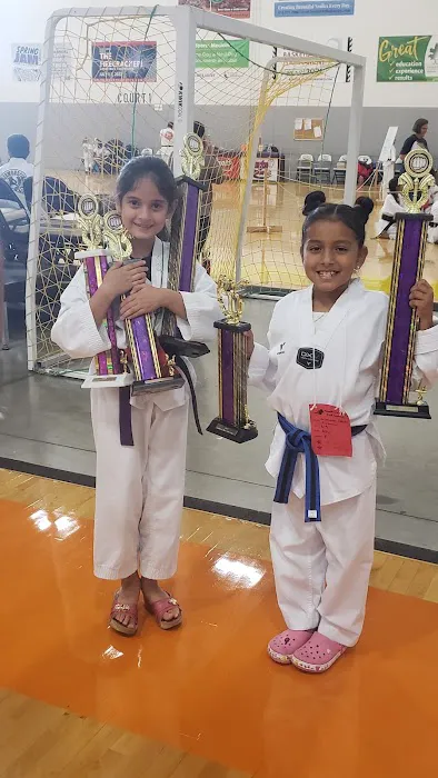 US Taekwondo Center Picture 6