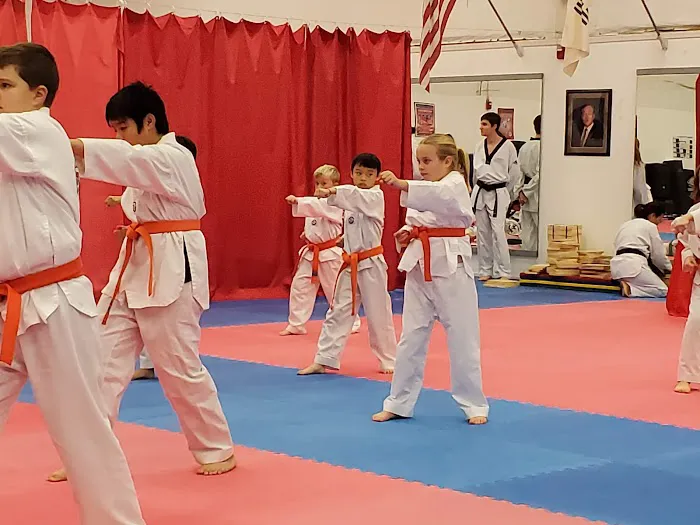 Ahn Taekwondo Institute Picture 2