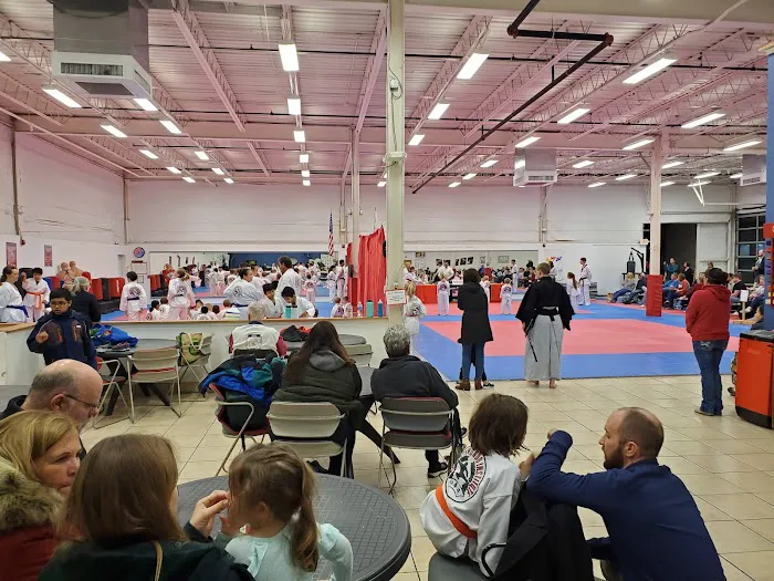 Ahn Taekwondo Institute Picture 5